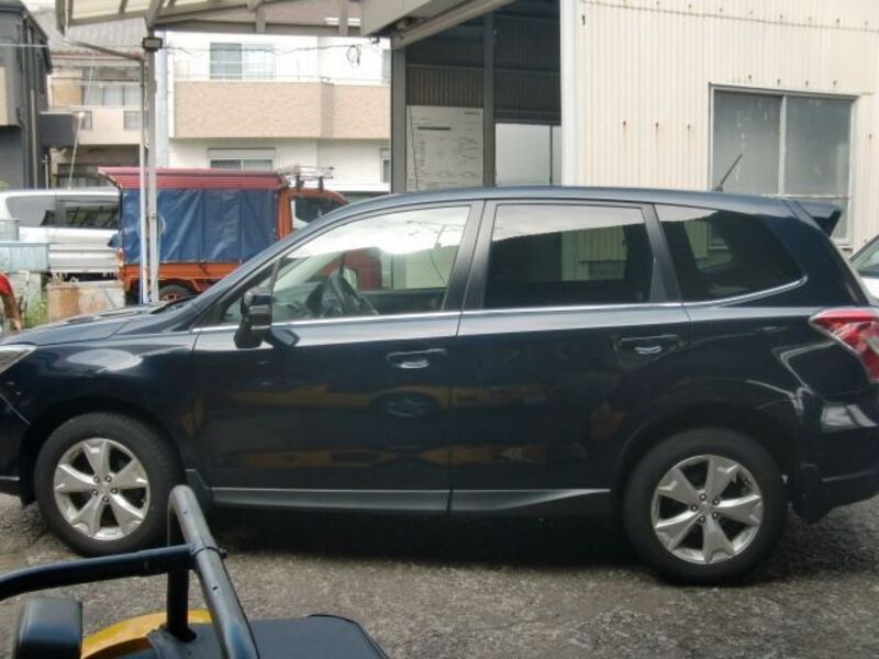 FORESTER