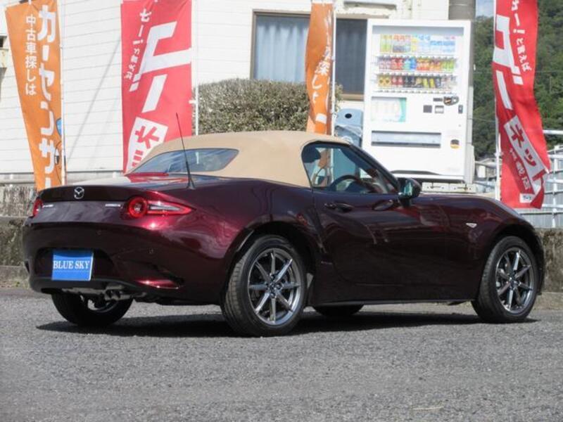 ROADSTER