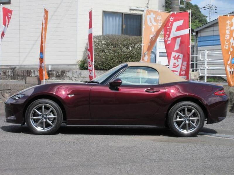 ROADSTER