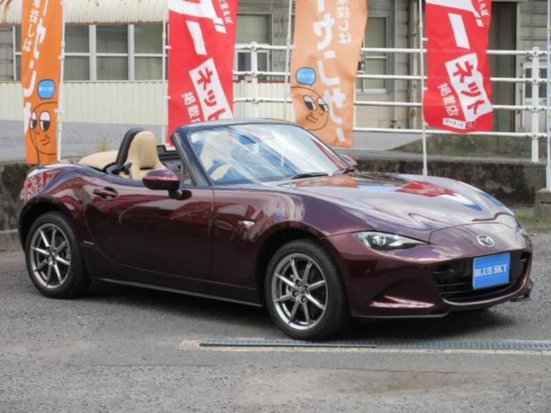 ROADSTER