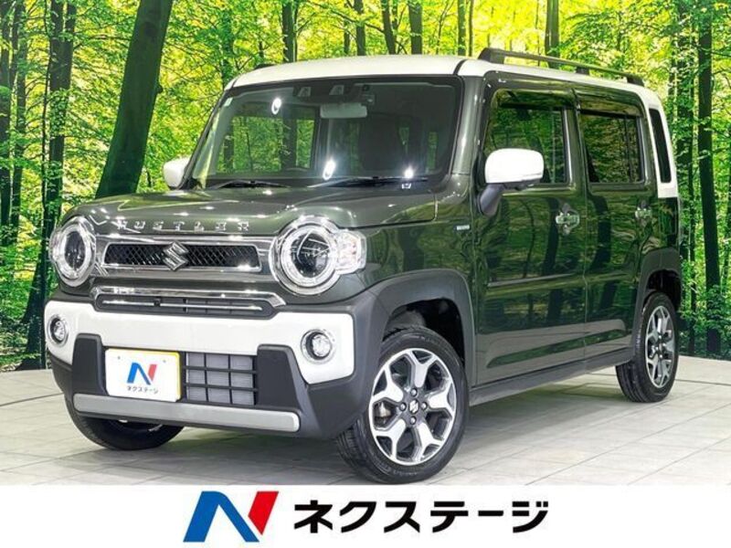 SUZUKI HUSTLER