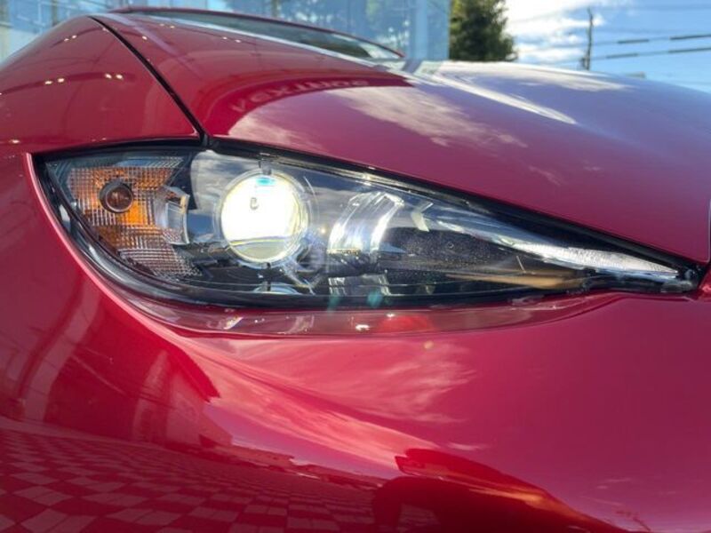 ROADSTER RF