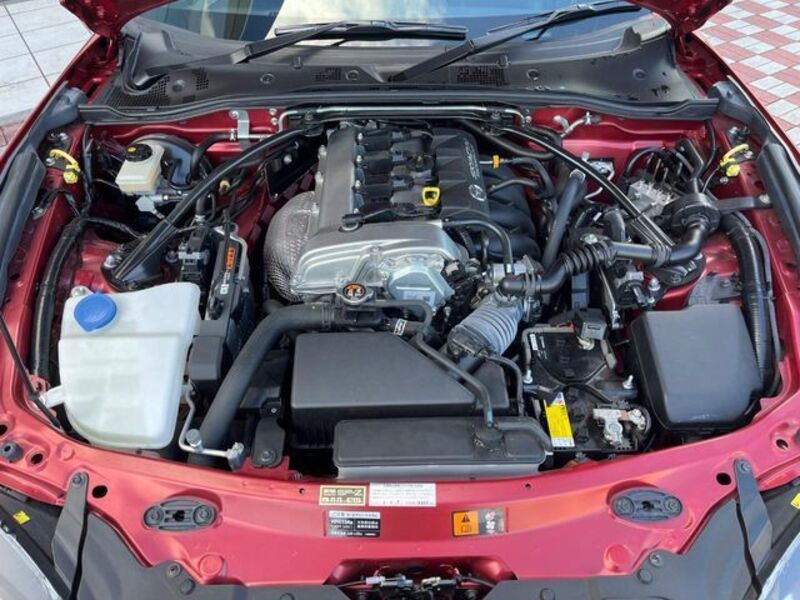 ROADSTER RF