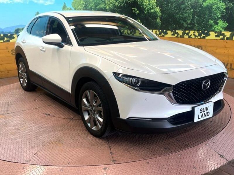 CX-30