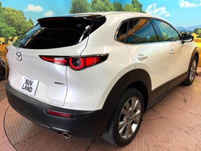 CX-30