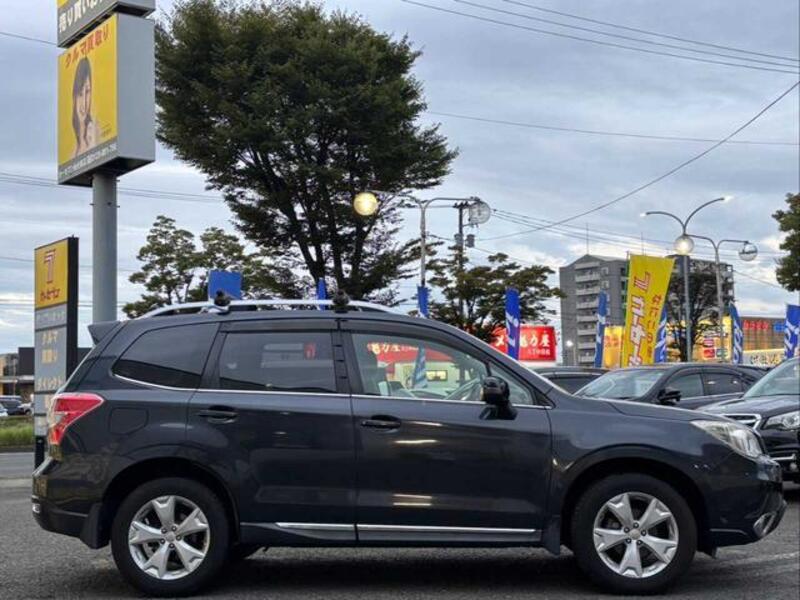 FORESTER