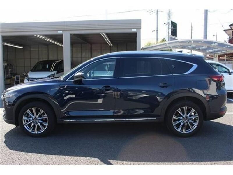 CX-8