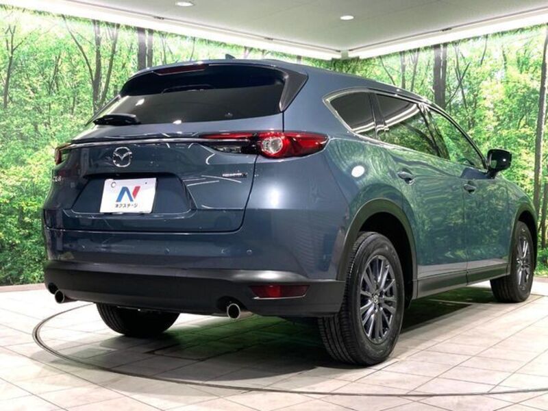 CX-8