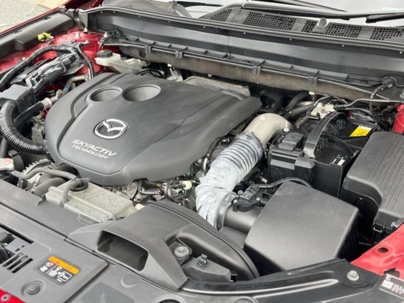 CX-8