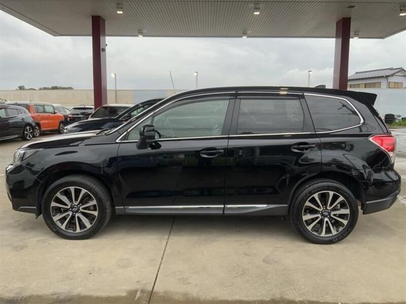 FORESTER