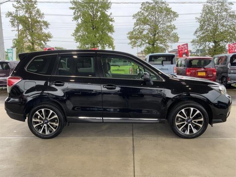 FORESTER