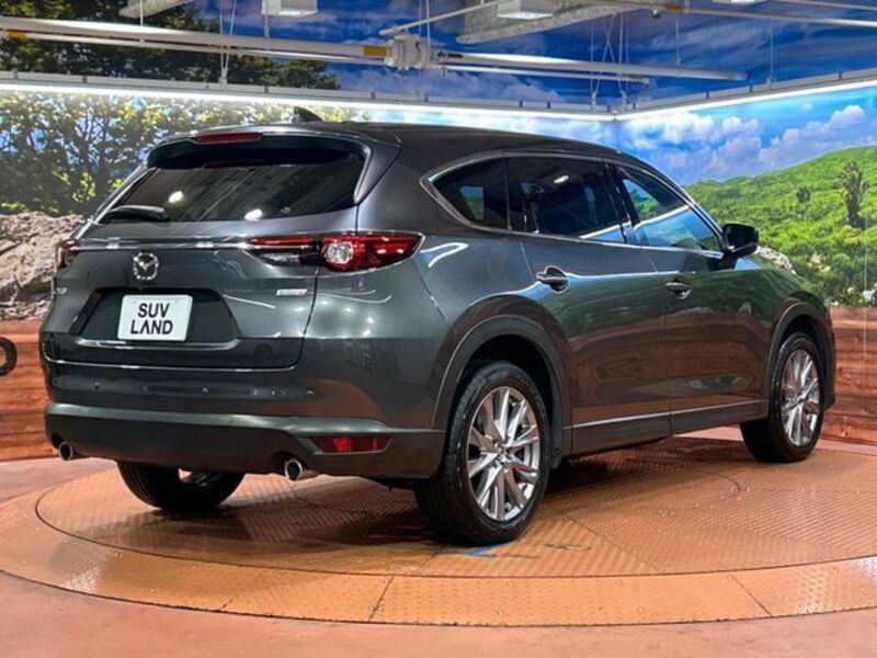 CX-8