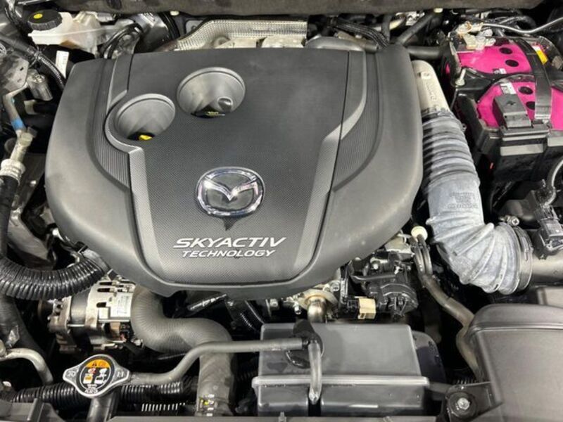CX-8