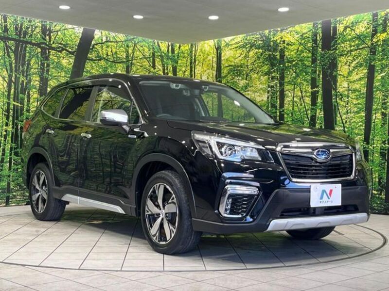 FORESTER