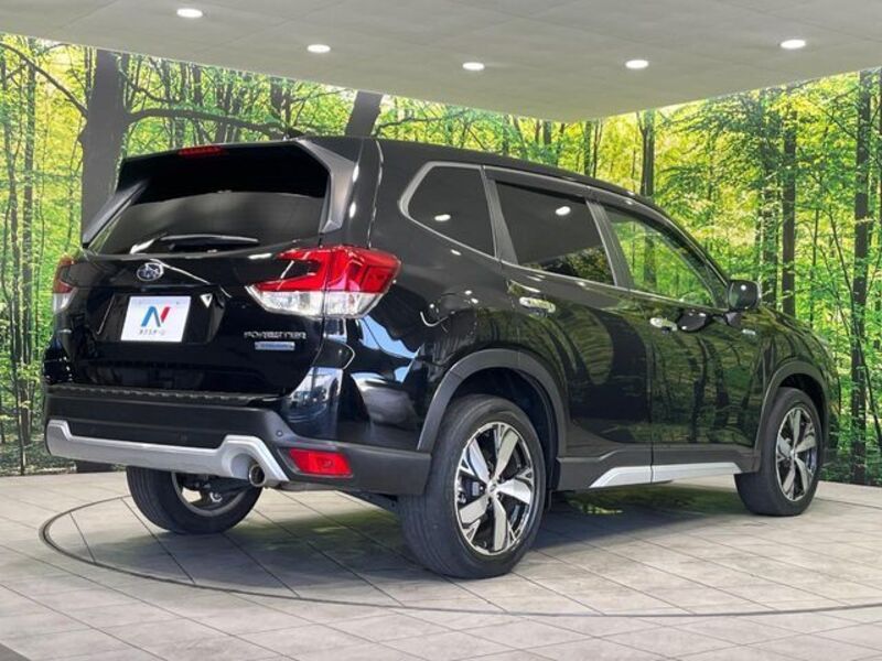 FORESTER