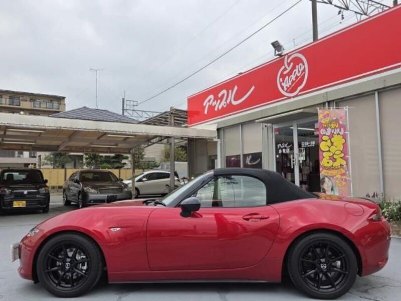 ROADSTER