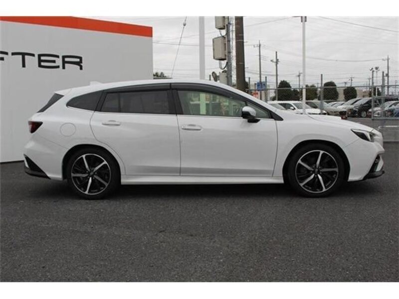 LEVORG
