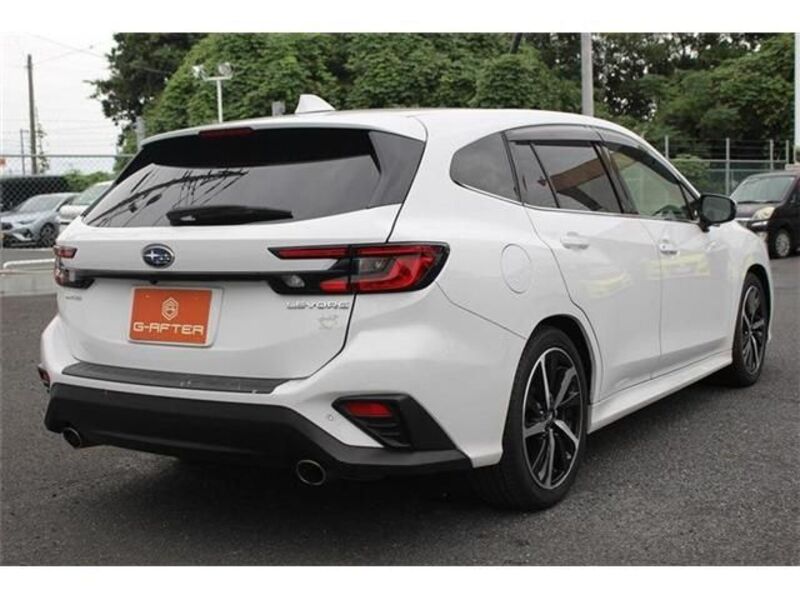 LEVORG