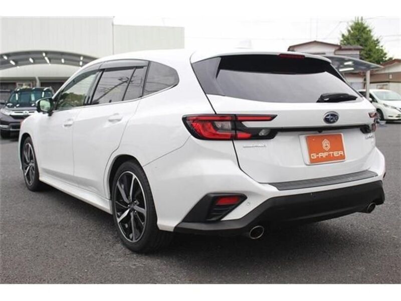 LEVORG