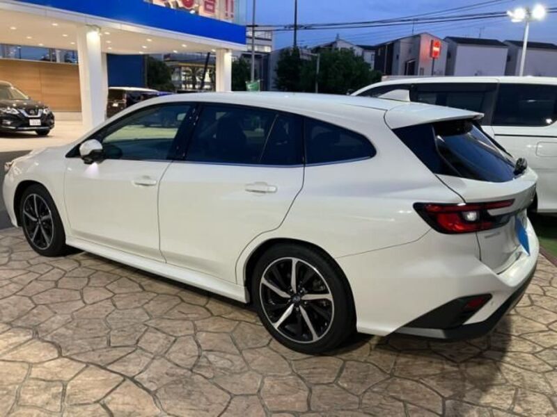 LEVORG