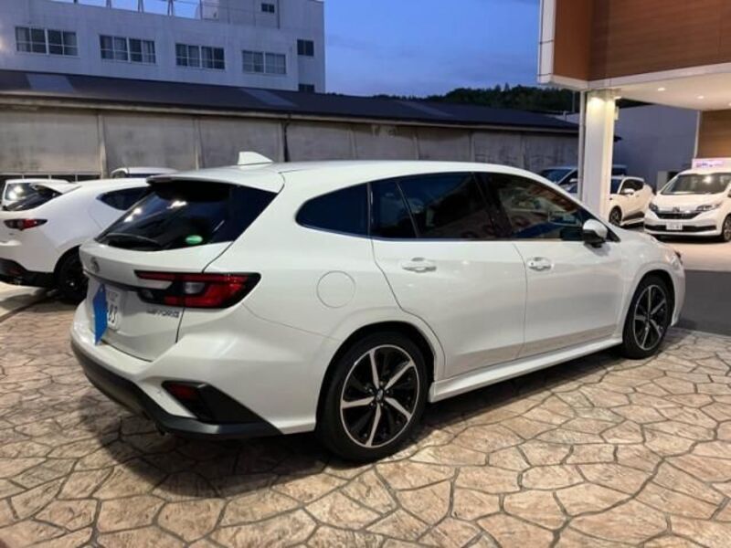 LEVORG