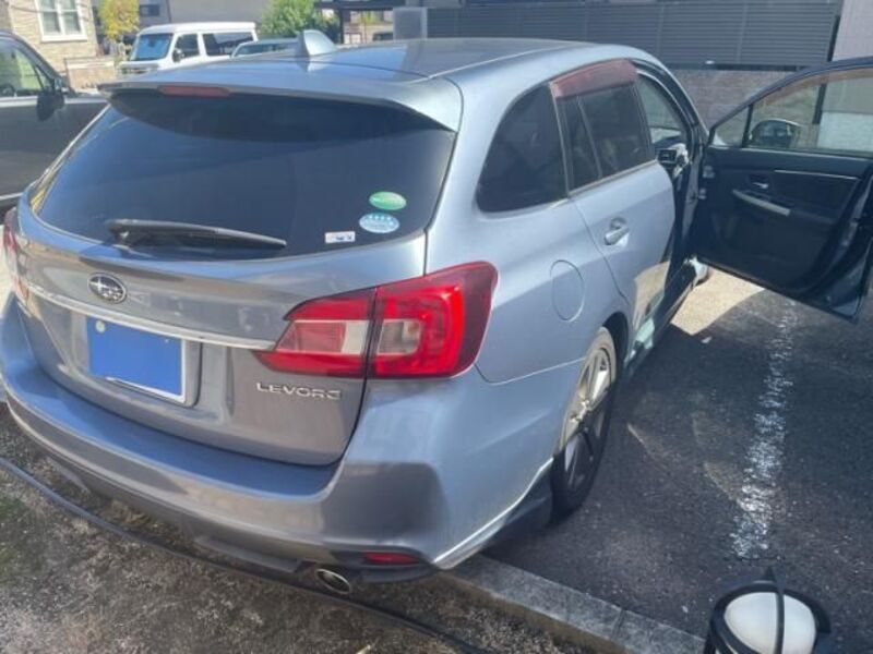 LEVORG