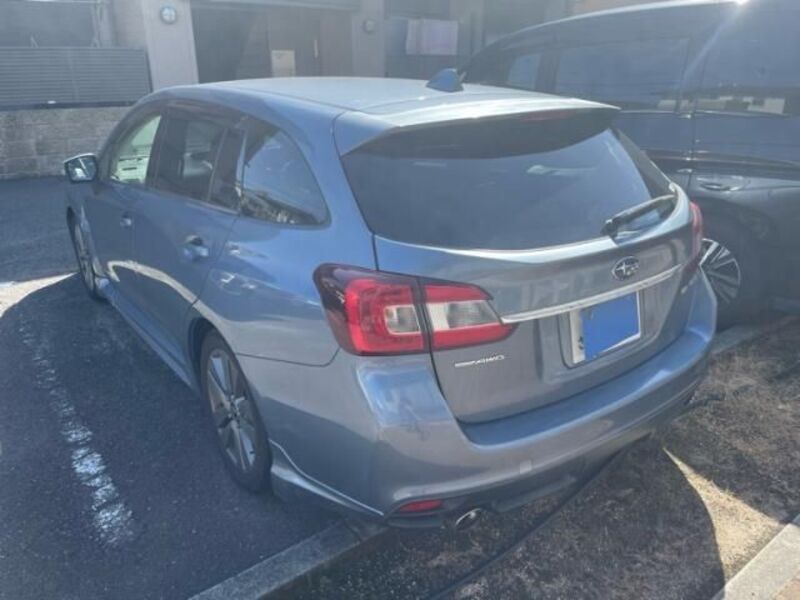 LEVORG