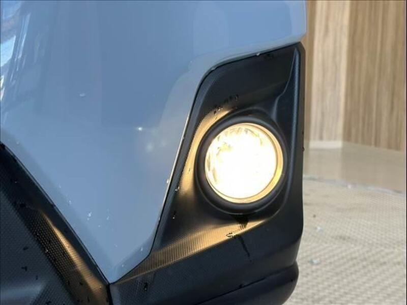 XV