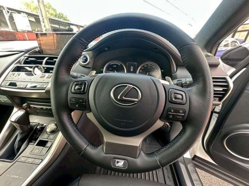 NX
