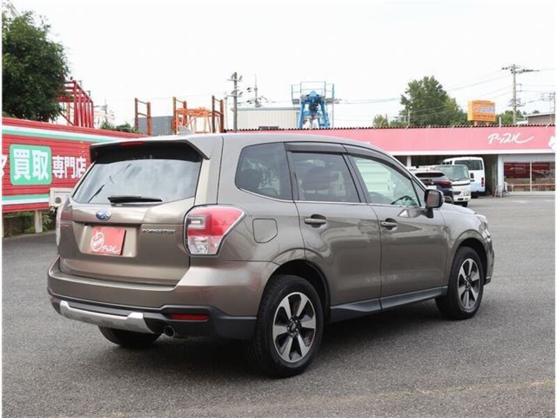FORESTER
