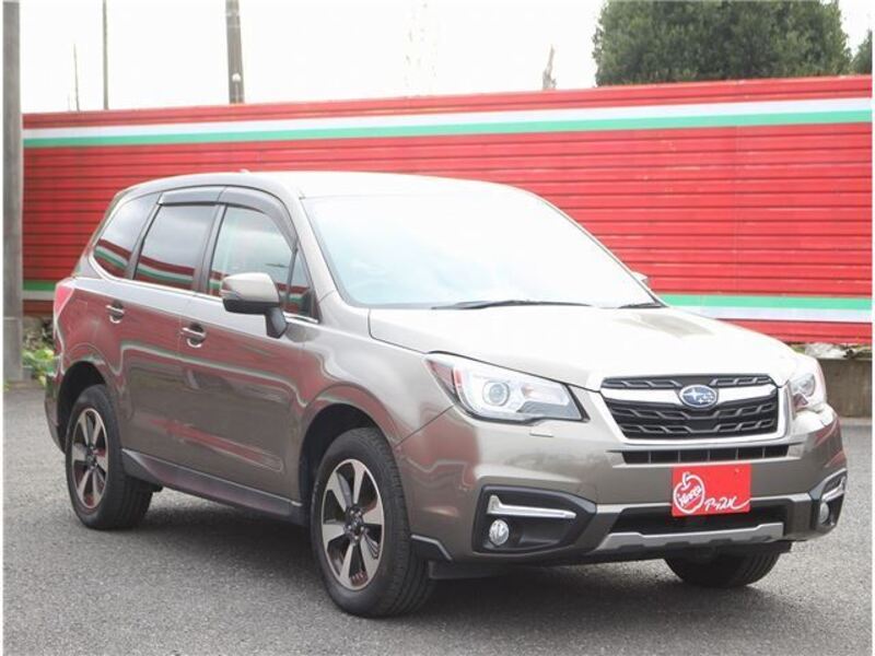 FORESTER