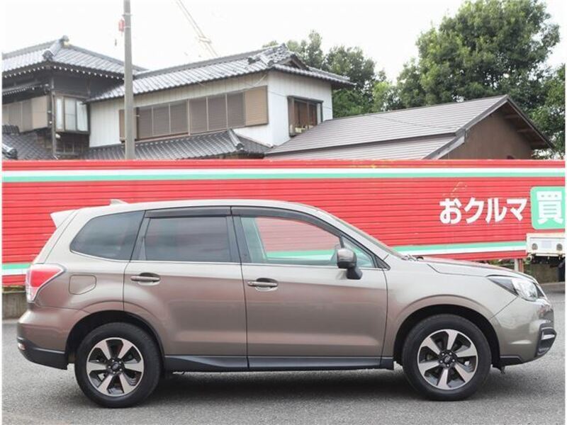 FORESTER