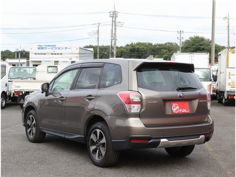 FORESTER