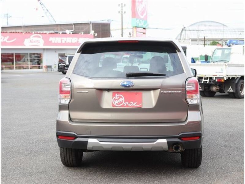 FORESTER