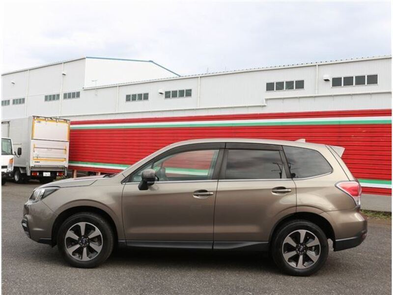 FORESTER