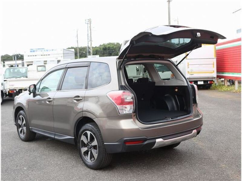 FORESTER