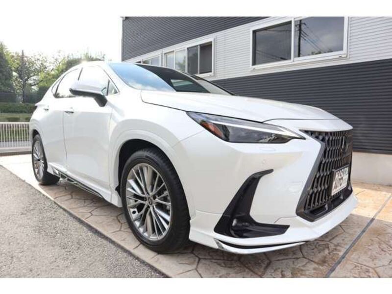 NX