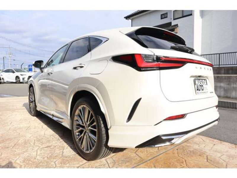 NX