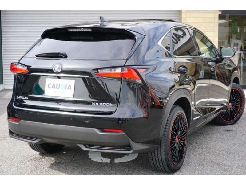 NX