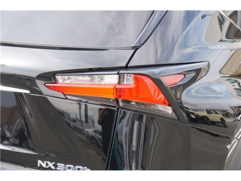 NX