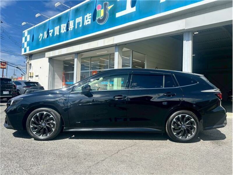 LEVORG