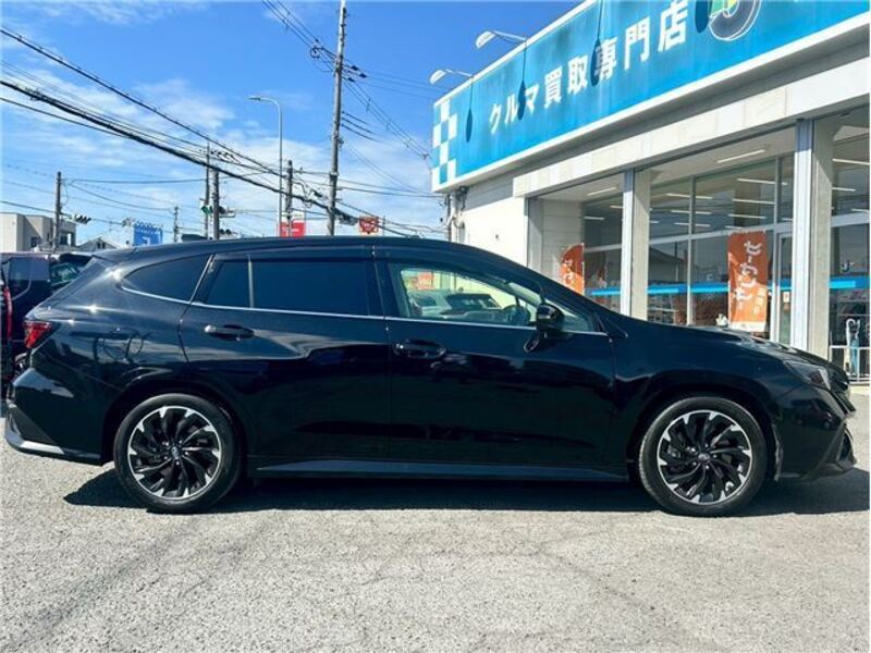 LEVORG