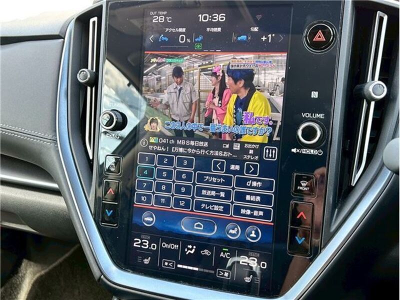 LEVORG