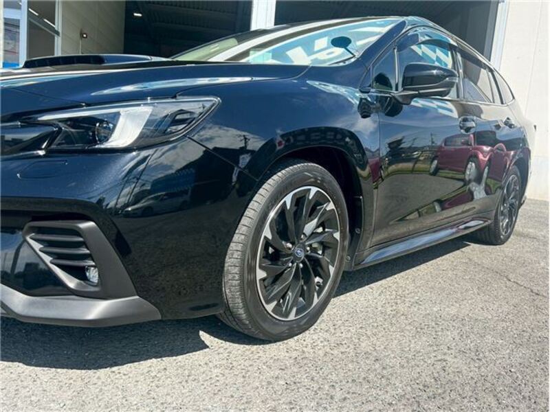 LEVORG