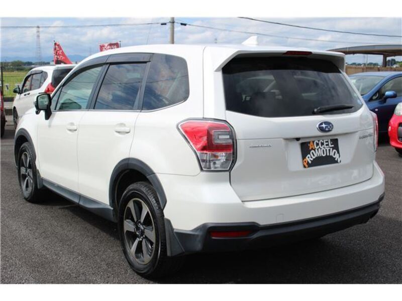 FORESTER