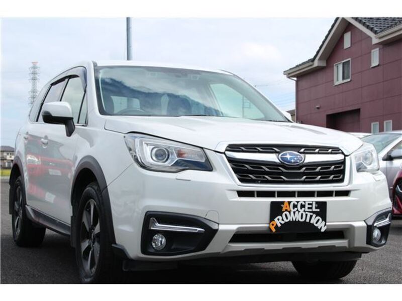FORESTER