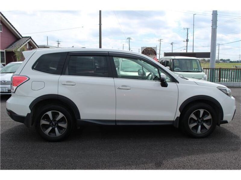 FORESTER