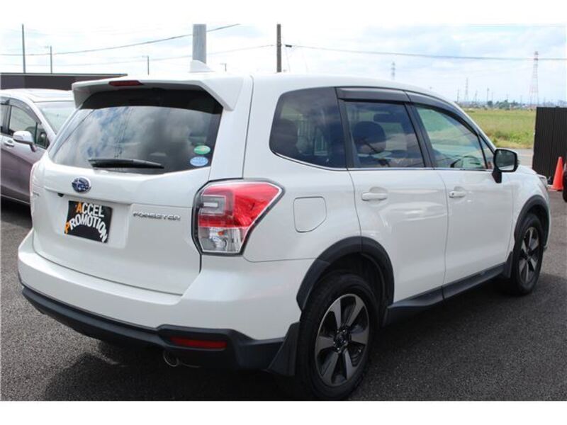 FORESTER