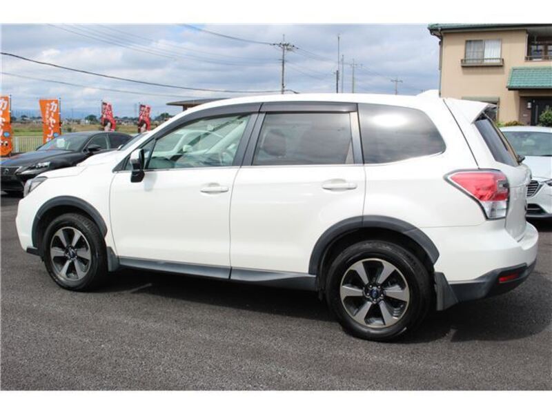 FORESTER