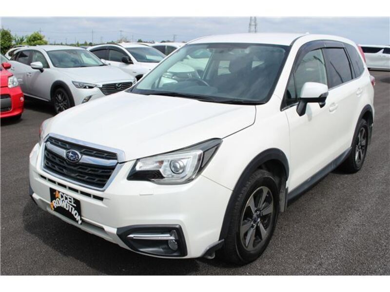 FORESTER